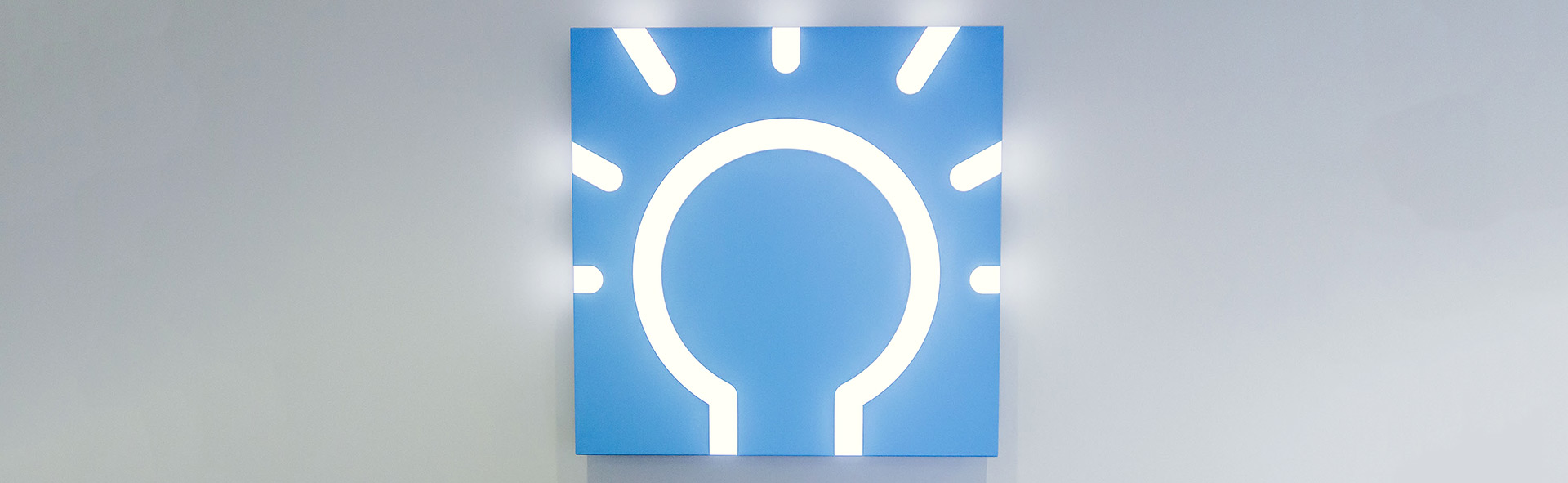 LES logo lightbulb